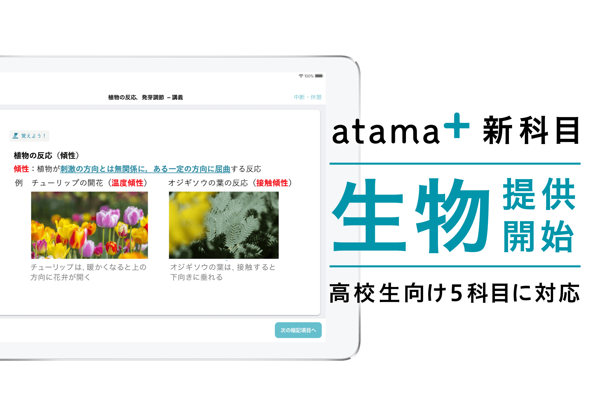 Ai先生 Atama 高校生向け 生物 の提供開始 Atama Plus株式会社